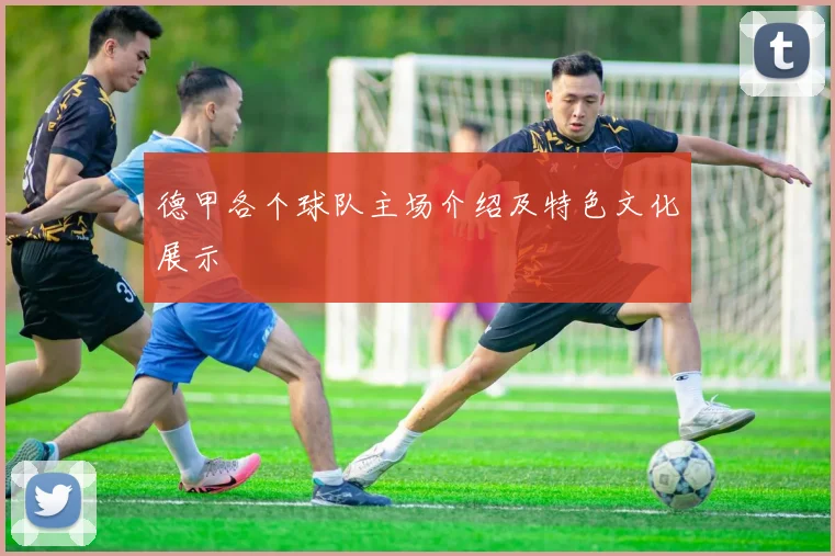 德甲各个球队主场介绍及特色文化展示