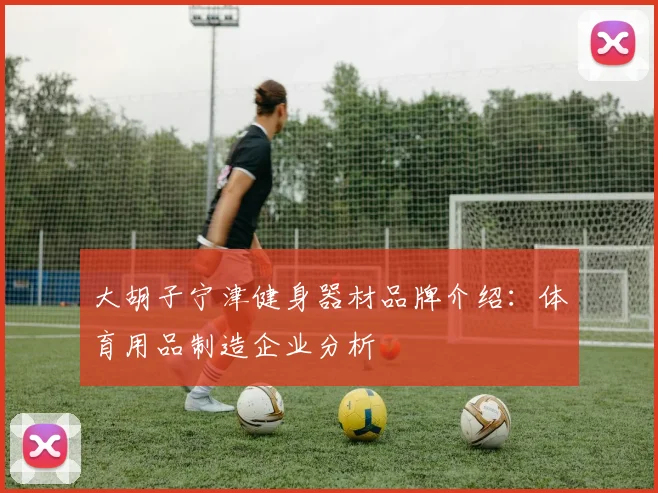 大胡子宁津健身器材品牌介绍：体育用品制造企业分析
